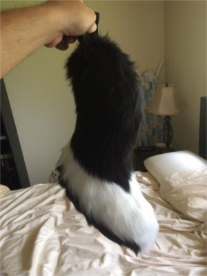 Tail Commission 1